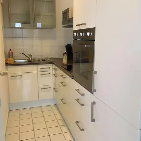 Apartment 'rheinblick' Mit Grosser Terrasse *