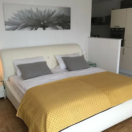 Apartment 'rheinblick' Mit Grosser Terrasse *