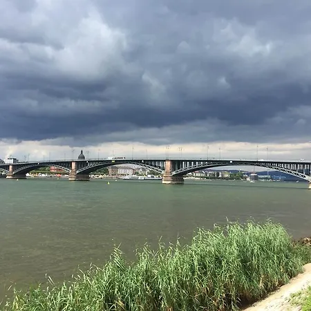 Apartment 'rheinblick' Mit Grosser Terrasse Mainz